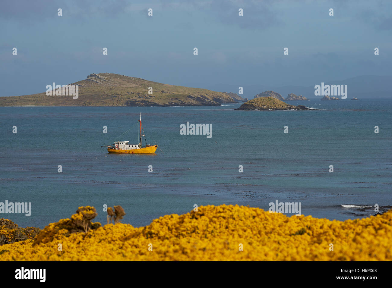 Fishing boat at anchor in the bay of Carcass Island in the Falkland Islands. Stock Photo