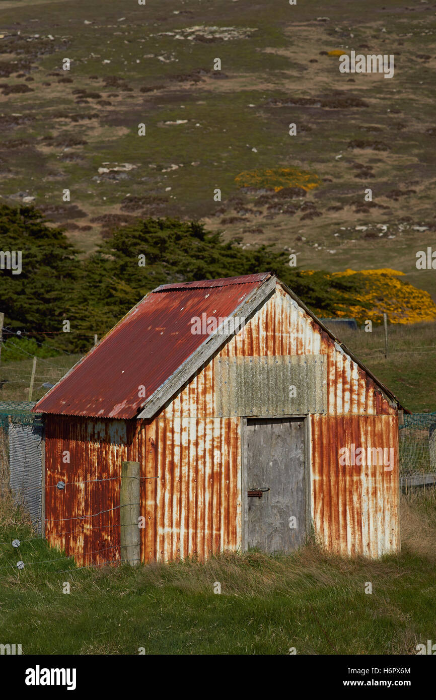 Farm buildings at Carcass Island Settlement in the Falkland Islands. Stock Photo
