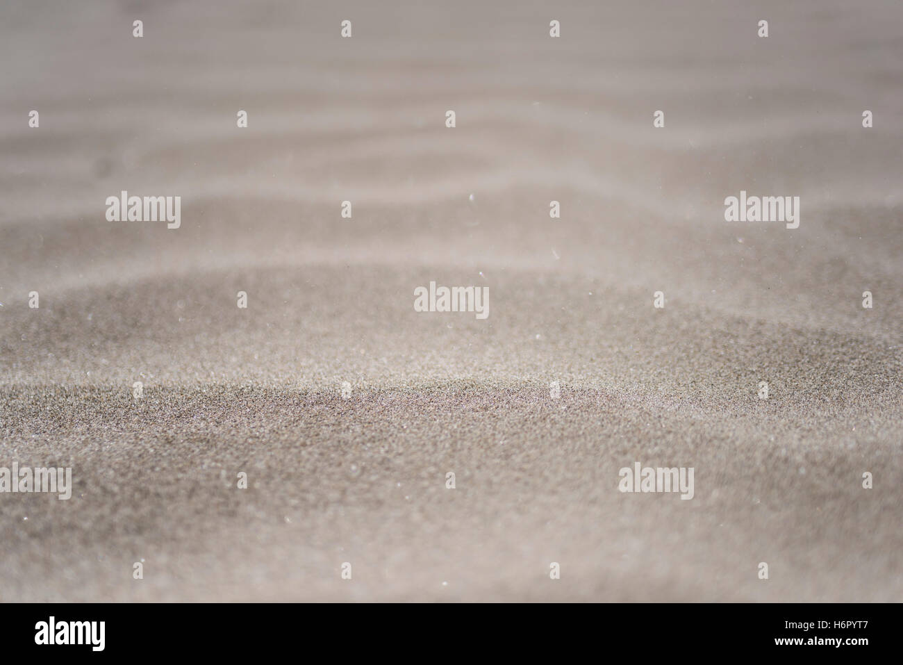 Wind ripple, Kido Beach, Kujukuri, Sanbugun, Yokoshiba Hikarimachi