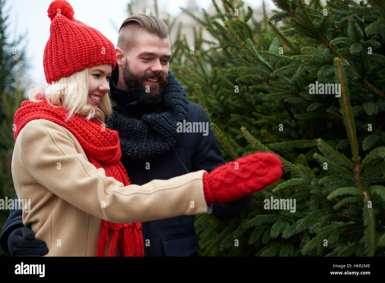 Choose christmas tree hi-res stock photography and images - Alamy