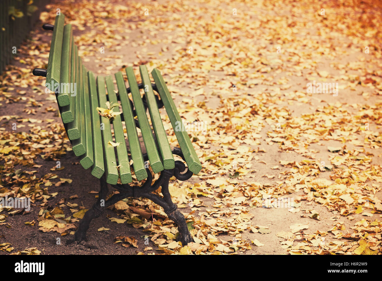 Empty green wooden bench stands on the walking road of autumnal park with yellow fallen leaves. Retro stylized photo with tonal Stock Photo