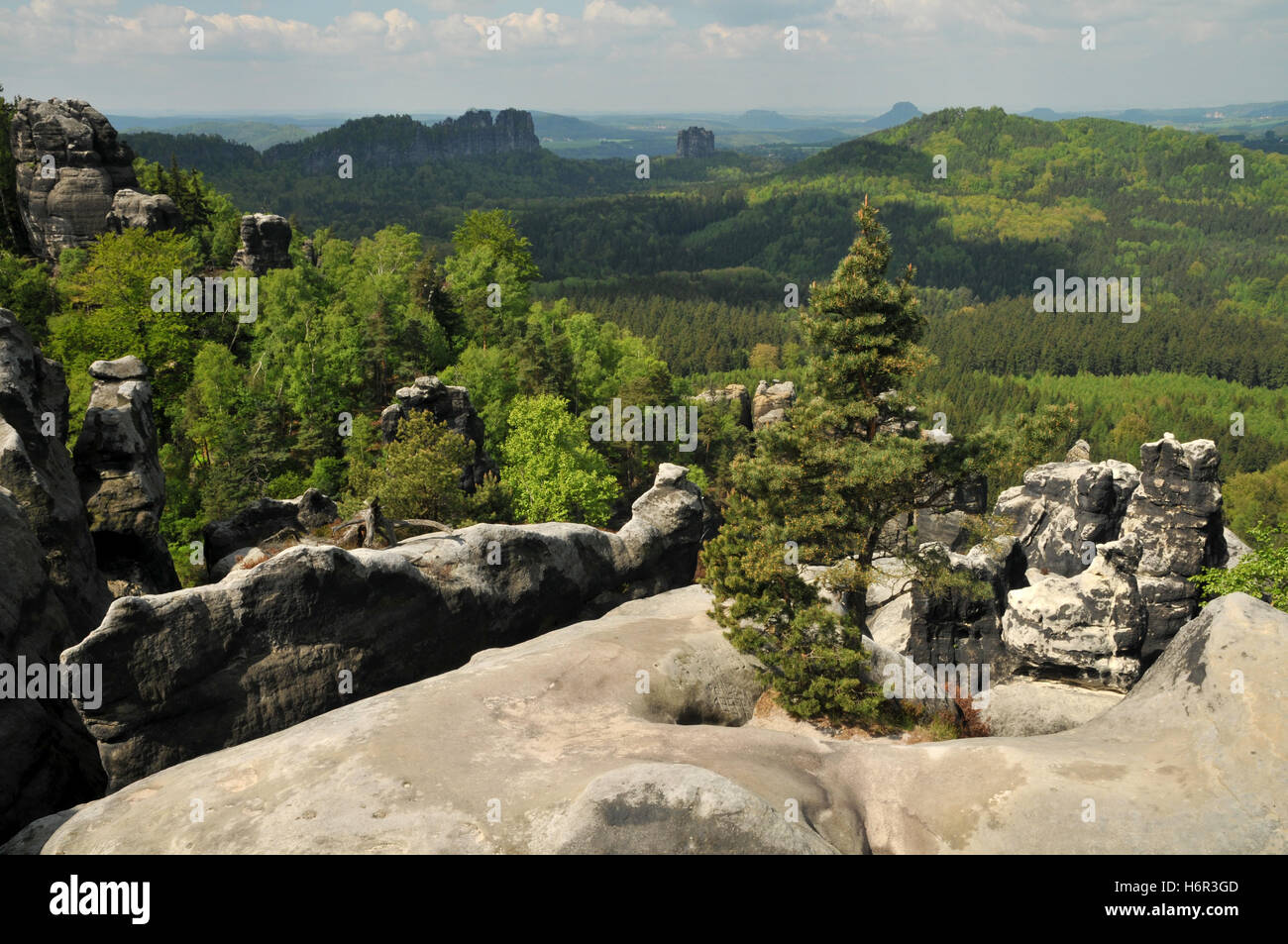 view from the affensteine Stock Photo