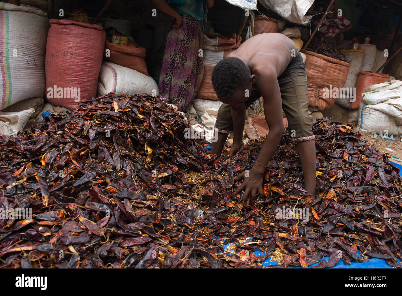 Young boy sorting a pile of dried chillis on the floor of the market at Dire Dawa, Ethiopia Stock Photo