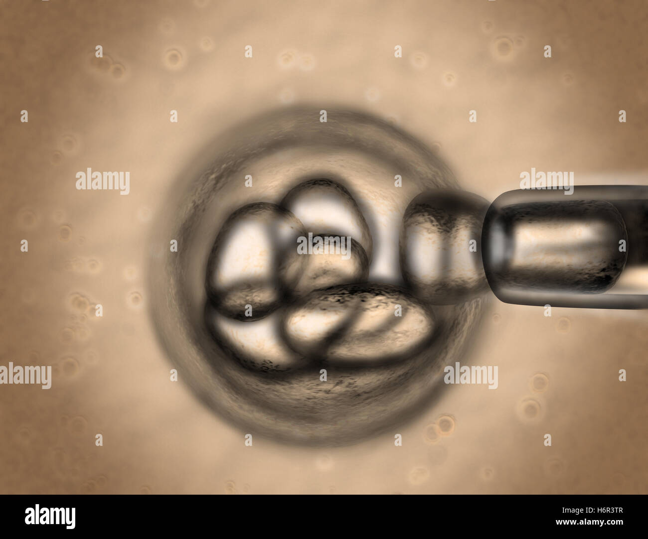 science research Stock Photo