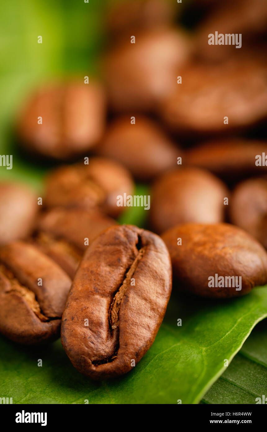 Fair trade organic coffee beans on a green leaf Stock Photo Alamy