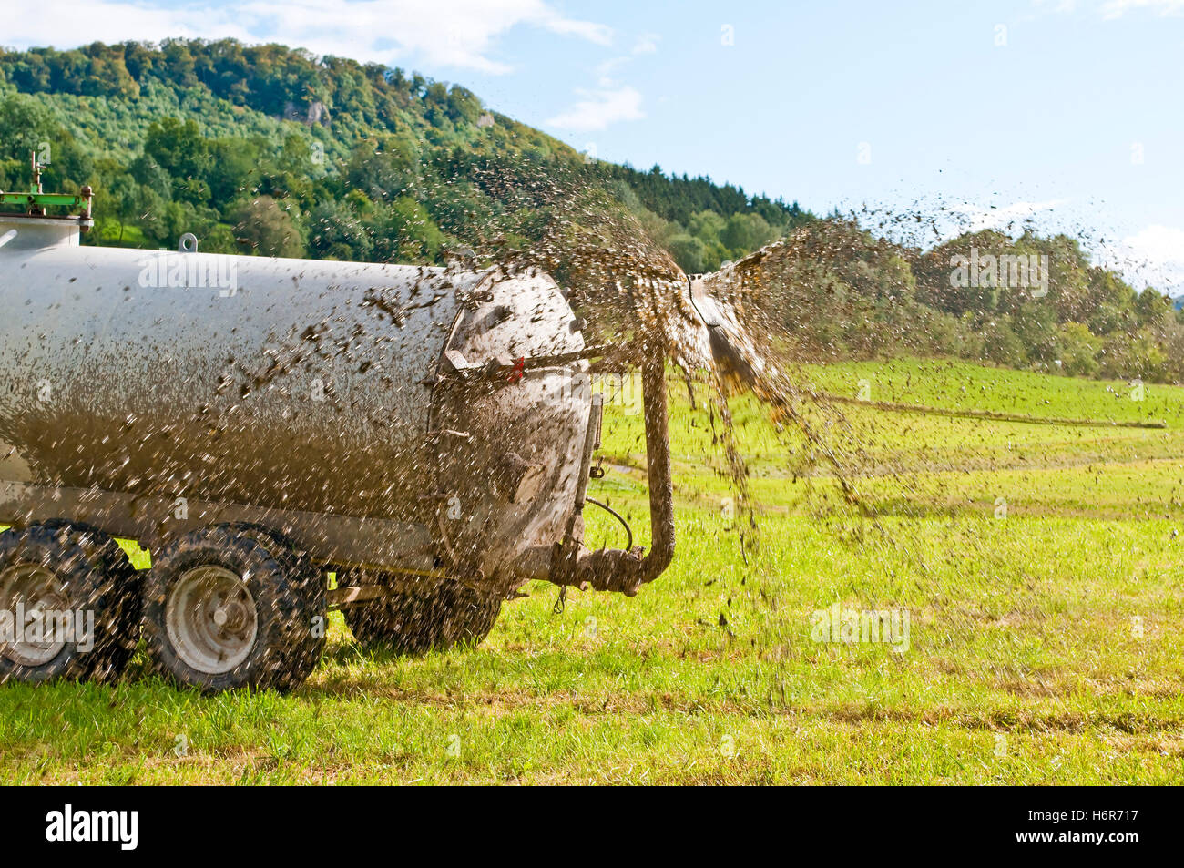 tractor moves manure Stock Photo