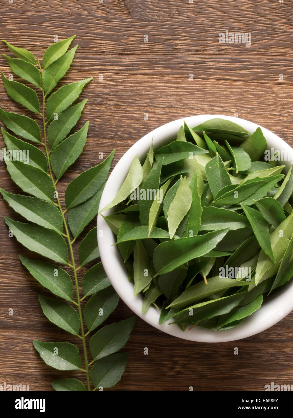 spice leaves aromatic curry ingredient indian herbs foliage food aliment leaf spice colour closeup leaves aromatic kitchen Stock Photo