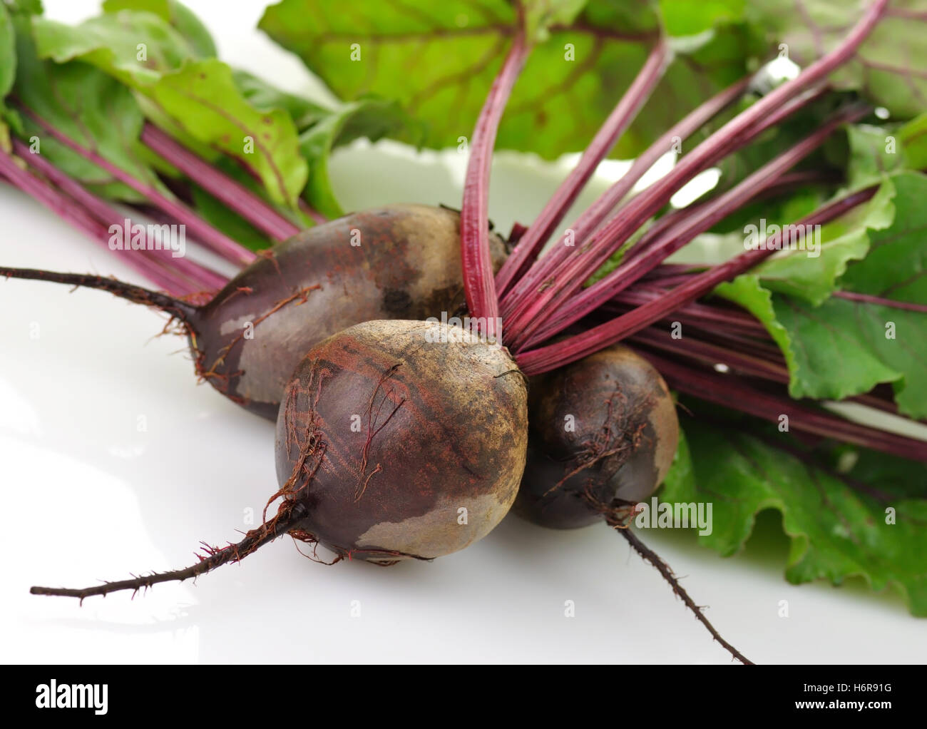 garden harvest vegetable beets plant food aliment sweet closeup ...
