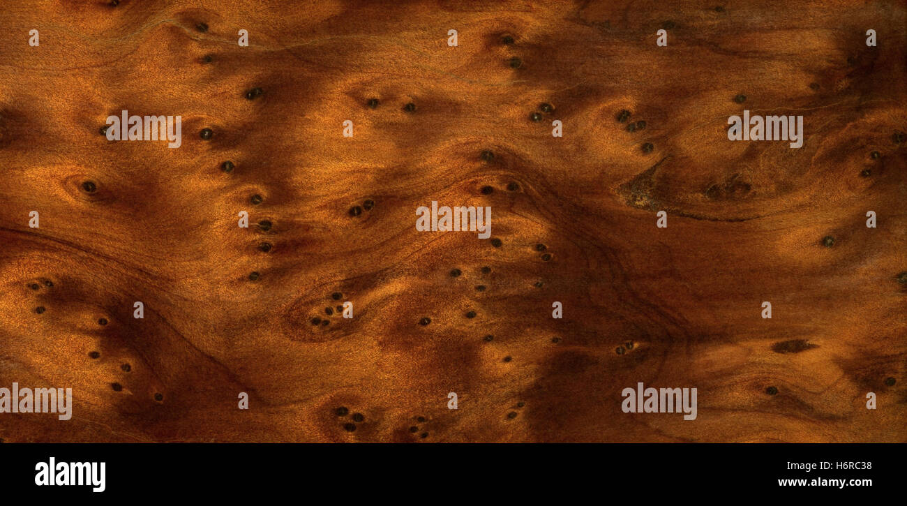 bright shiny formatfilling wood grain shine shines bright lucent light