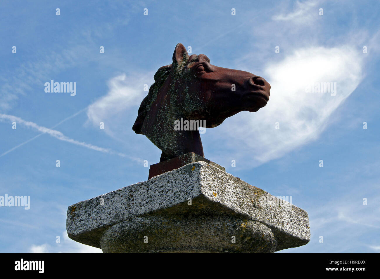 horsehead,sculpture on good immling in bavaria Stock Photo