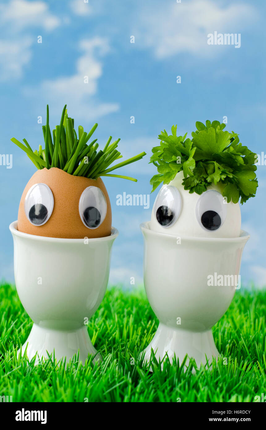 Two free range eggs hi-res stock photography and images - Alamy
