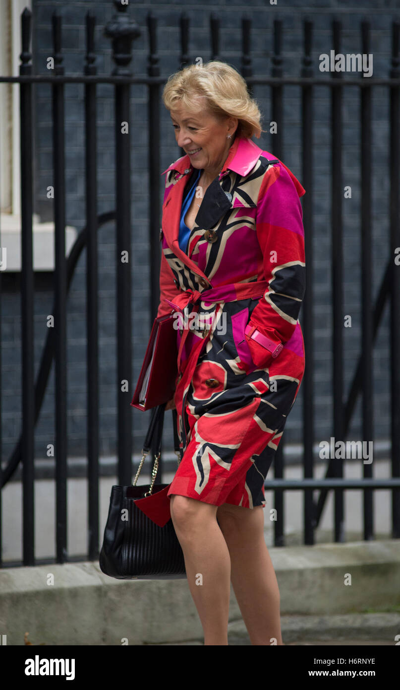 Downing Street, London, UK. 1st November, 2016. Andrea Leadsom ...