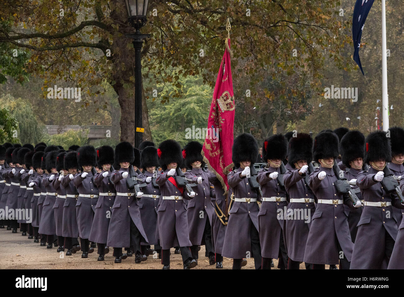 London, UK. 1st November, 2016. 1st Battalion Coldstream Guards take formation as part of the