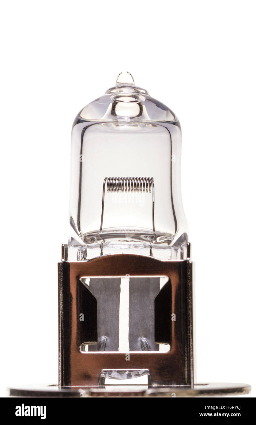 Car light bulb isolated on white background Stock Photo Alamy