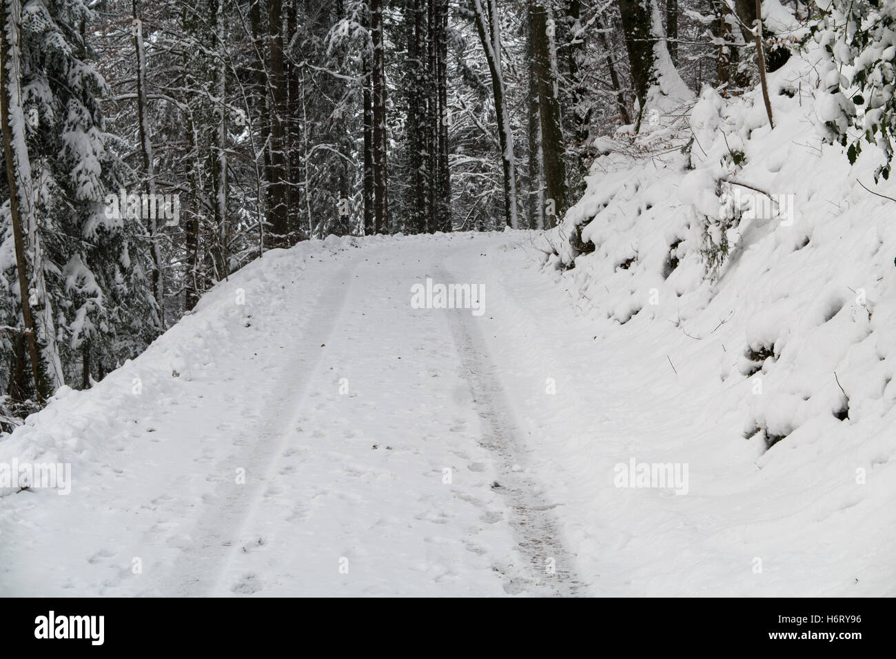 Road with tire tracks in the snow Stock Photo - Alamy