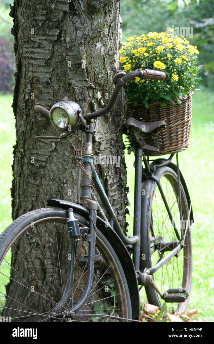 old bicycle as garden decoration with flower basket Stock Photo
