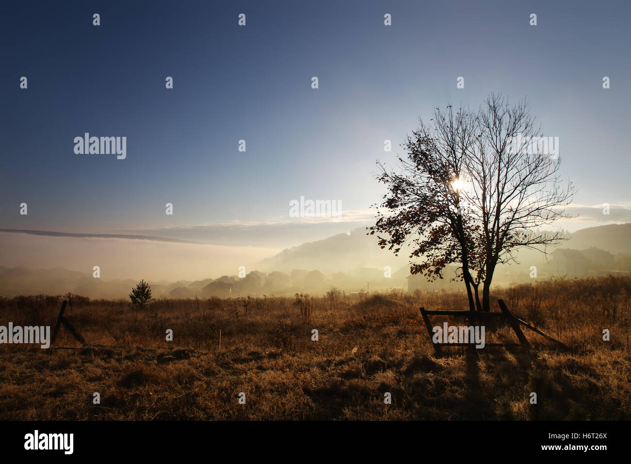 Fog field background hi-res stock photography and images - Alamy