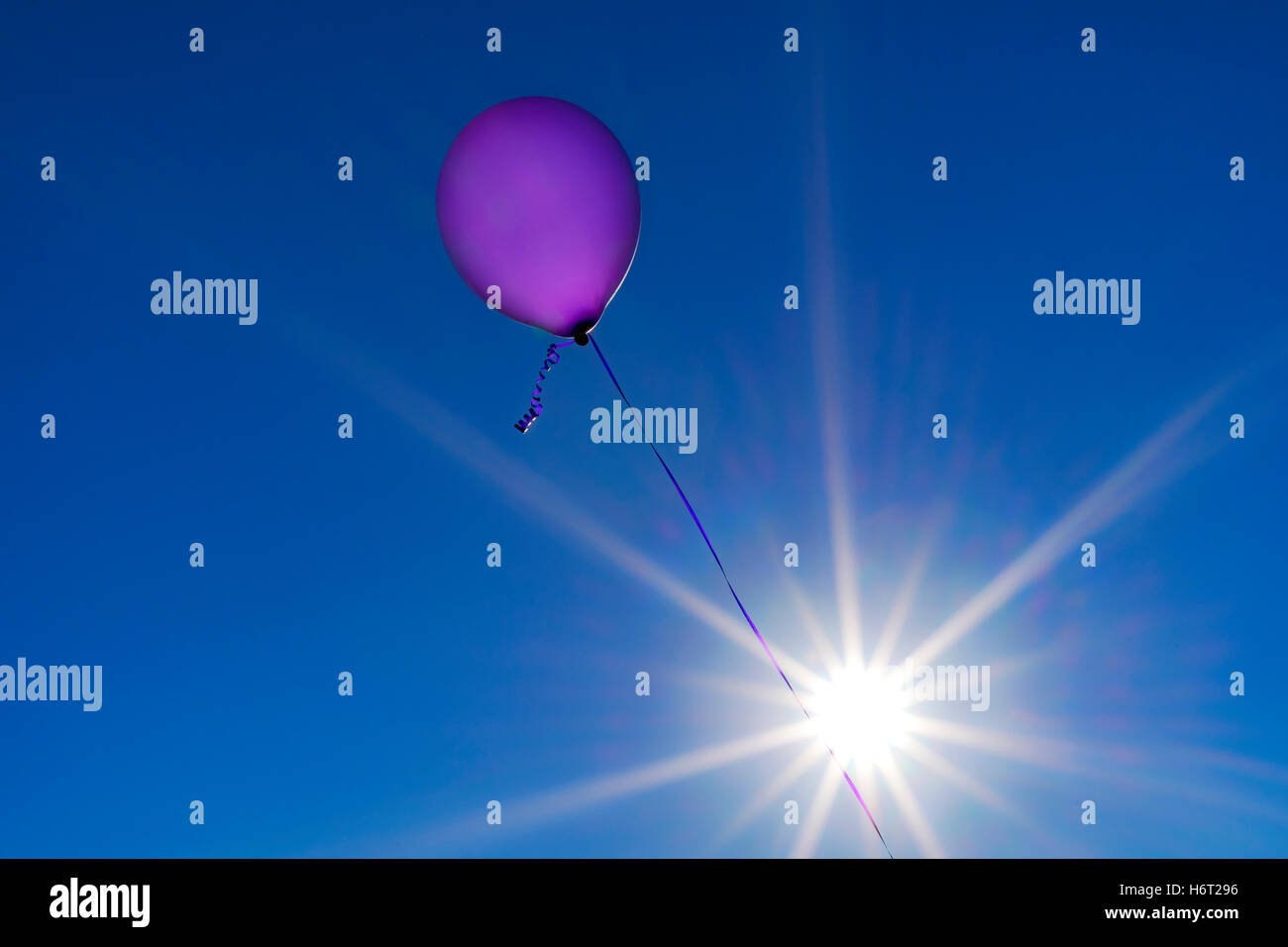 A purple balloon against the early evening sky. Stock Photo