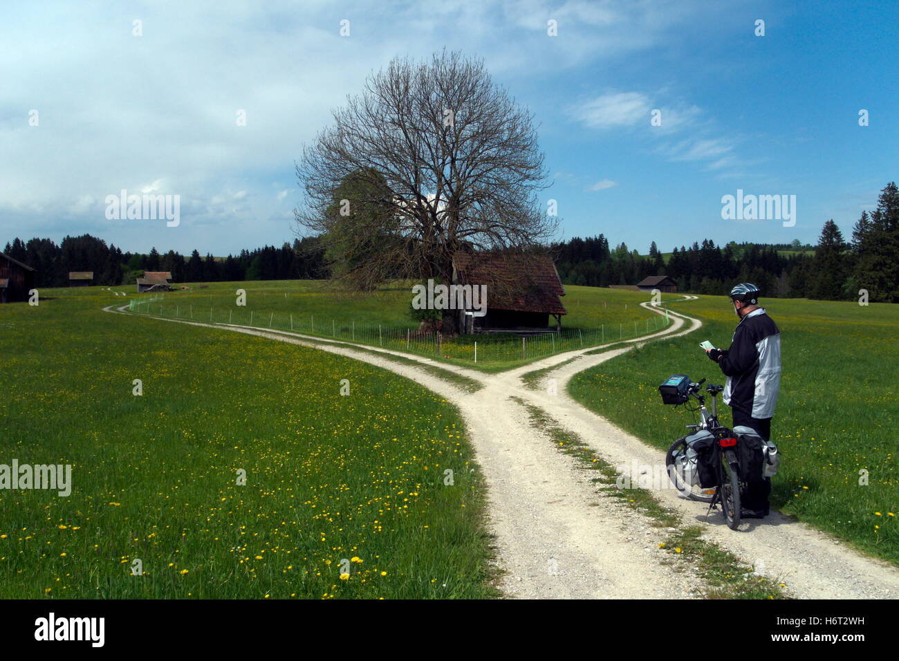 cross roads cycle