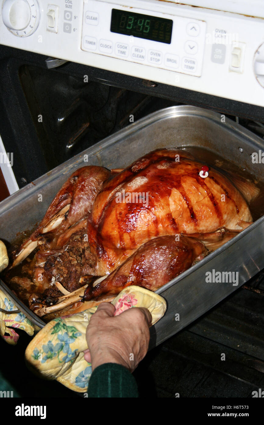 Golden Brown Roasted Turkey Stock Photo Alamy