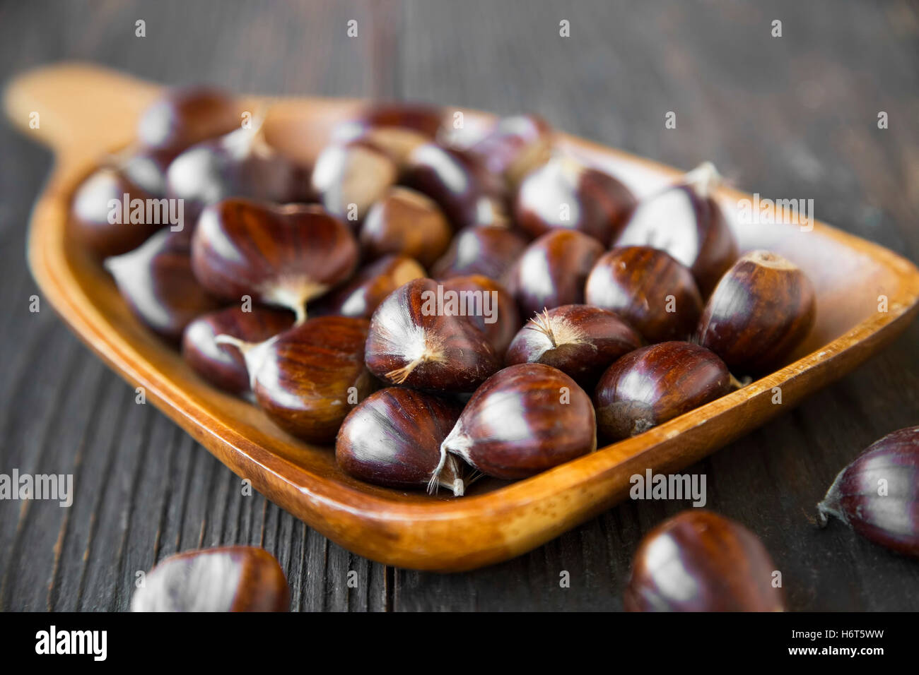 Edible chestnut hires stock photography and images Alamy