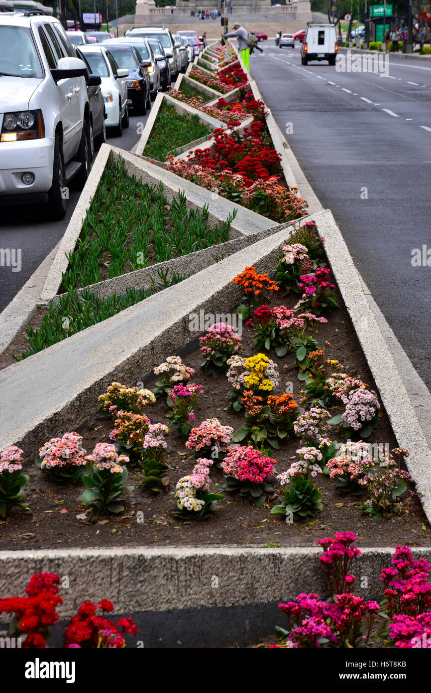 Divider median planted with plants in Mexico City, Mexico Stock Photo