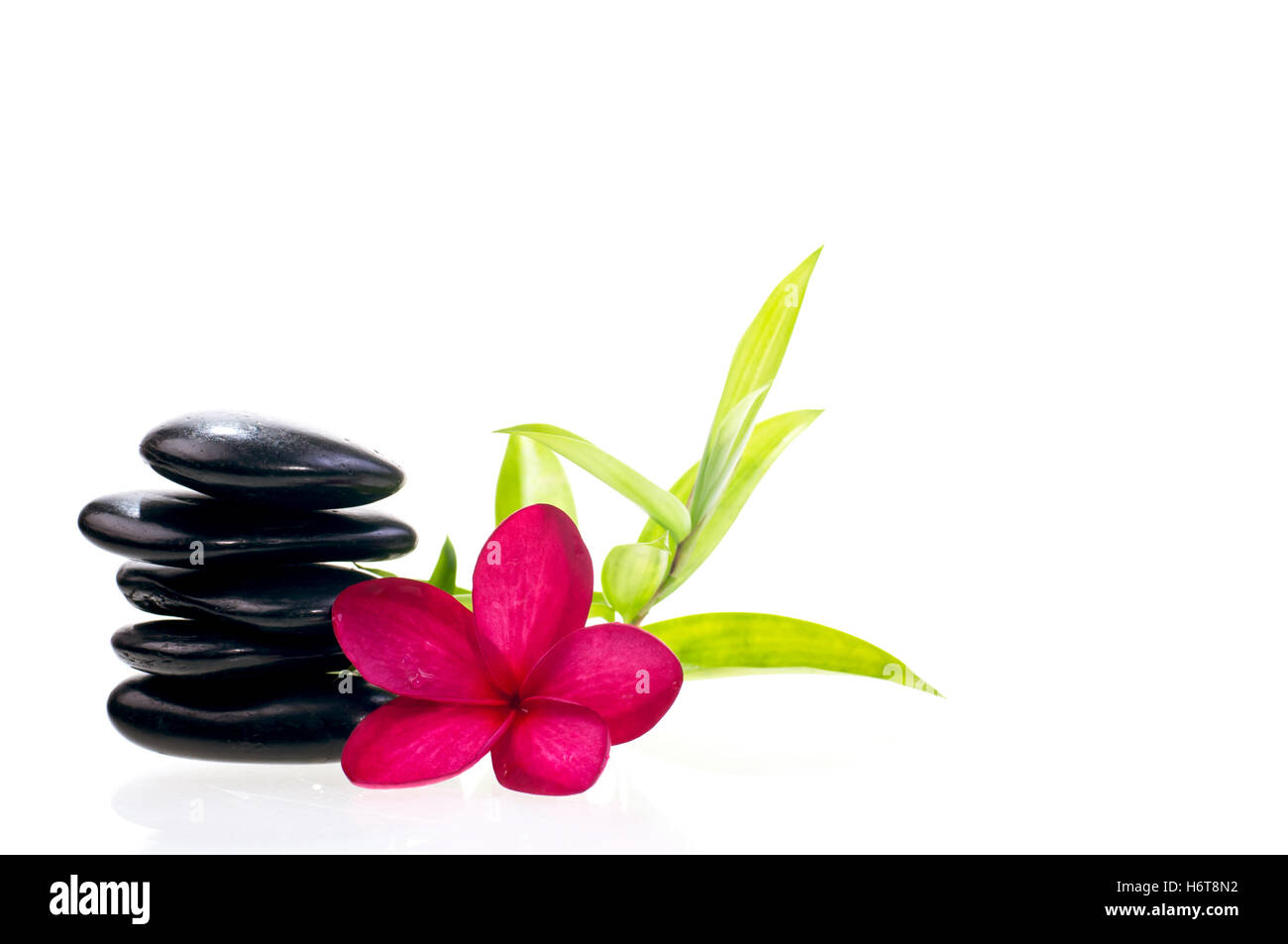 Spa Flowers And Rocks