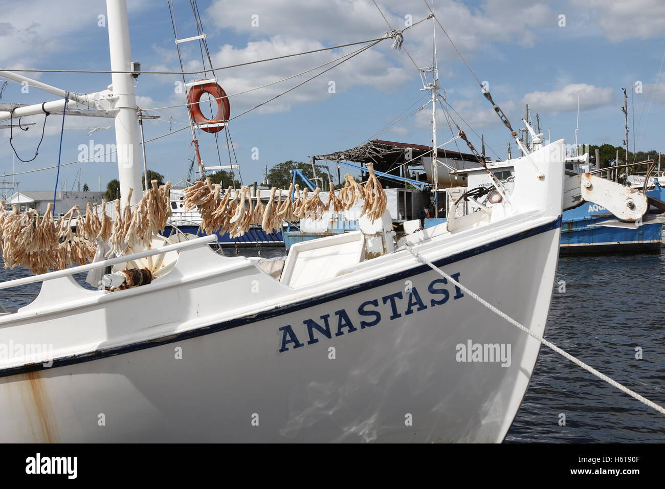 Sponges hanging to dry on the bow of a commercial sponge fishing boat. Stock Photo