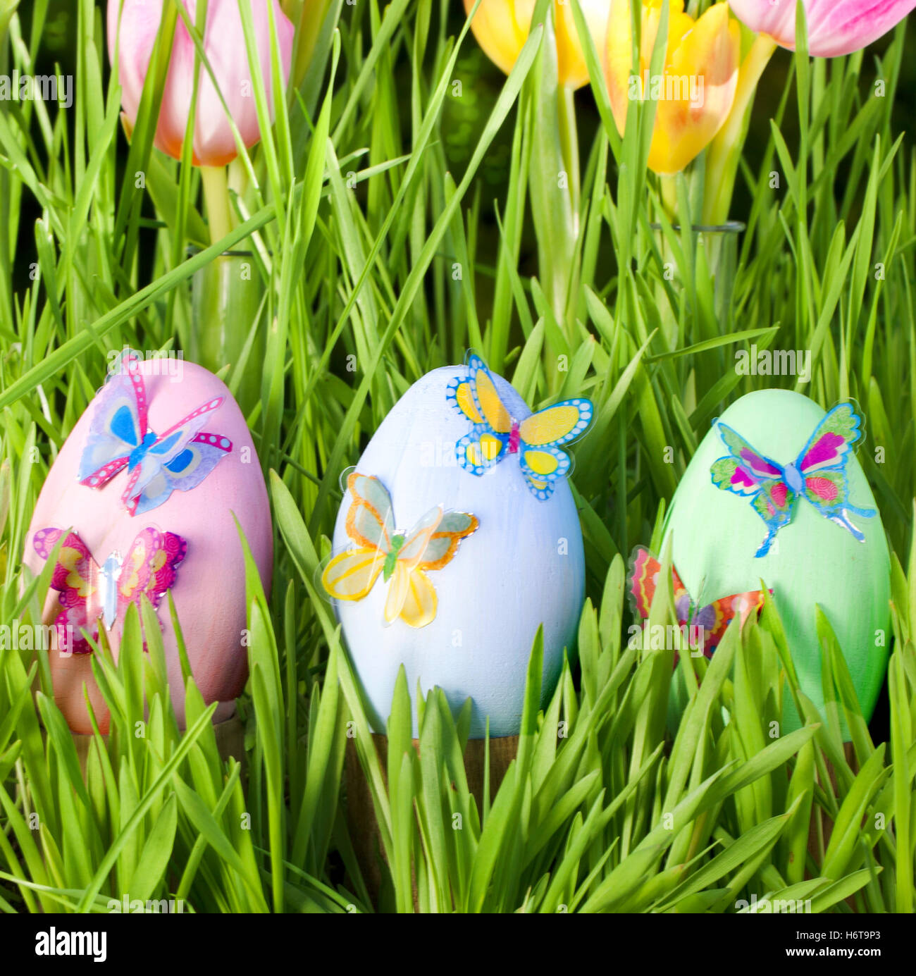 easter eggs in grass Stock Photo