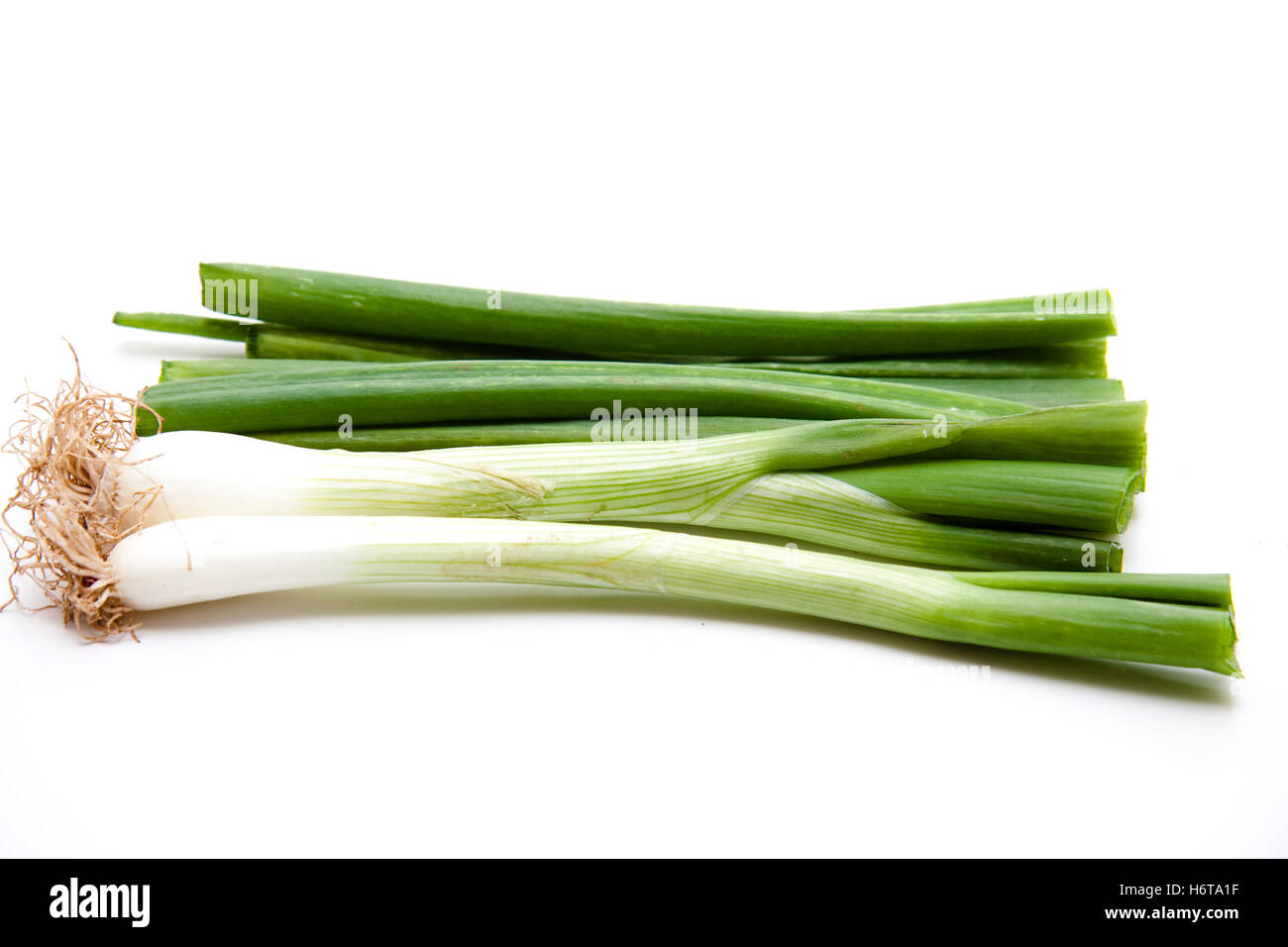 vegetable, onion, food, aliment, vegetable, raw, onion, plant, fresh, Stock Photo