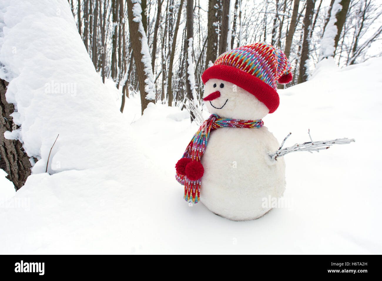 winter, cold, horizontal, landscape format, cap, scarf, season, snowman, Stock Photo