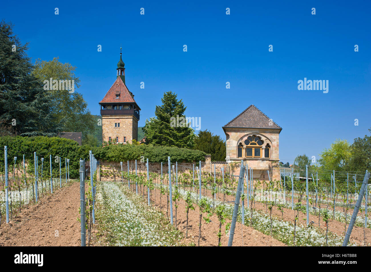 Europe europe hi-res stock photography and images - Alamy