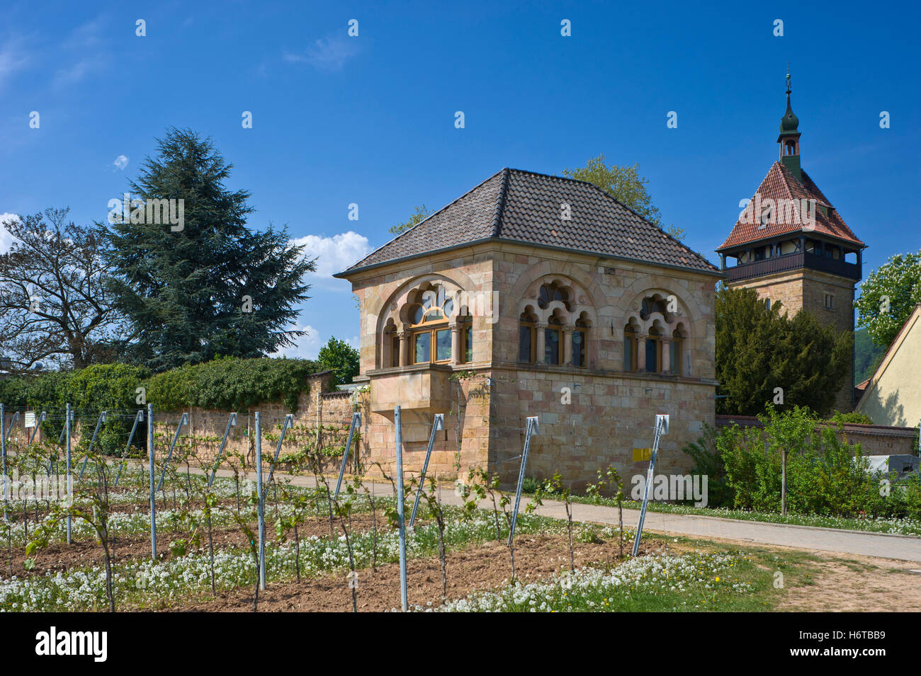 Europe europe hi-res stock photography and images - Alamy