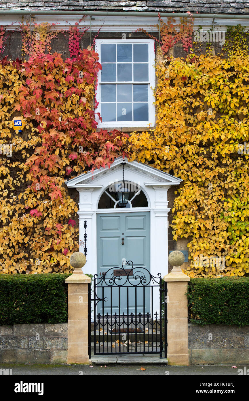 Climbing hydrangea hi-res stock photography and images - Alamy
