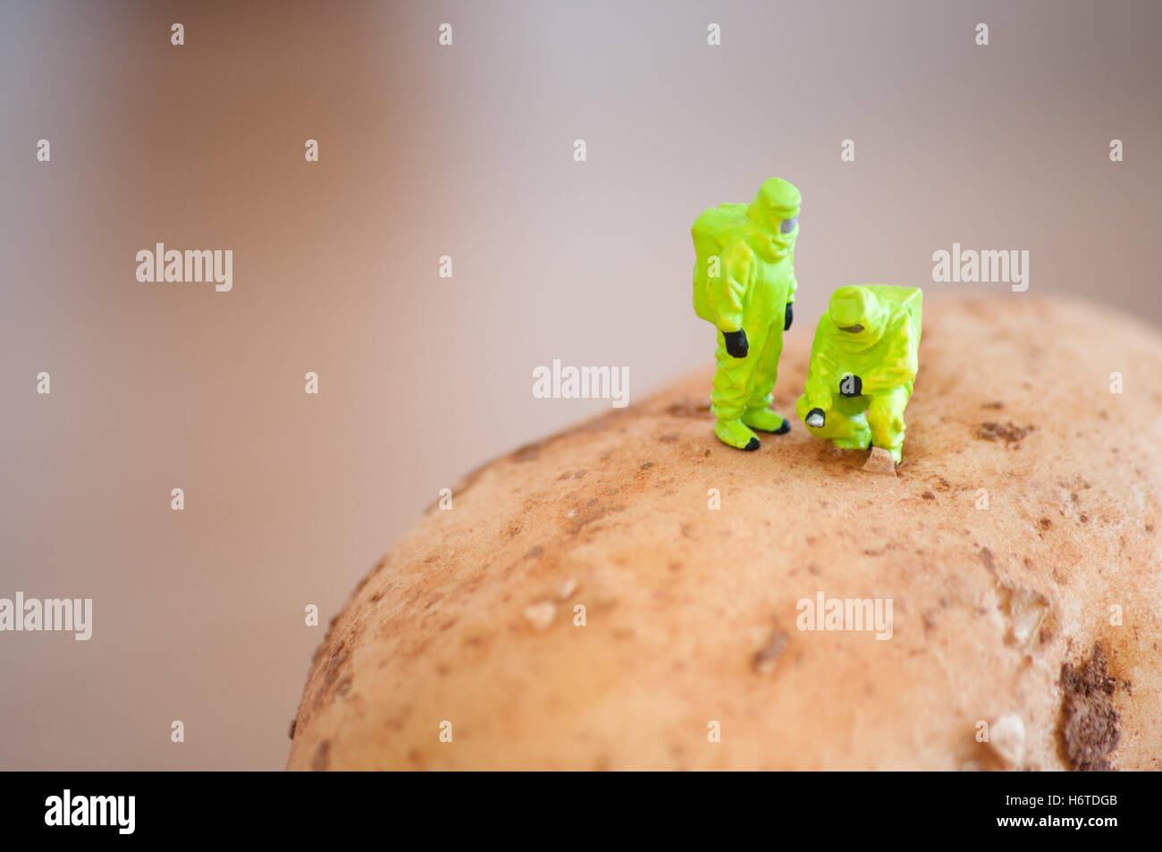 food Stock Photo