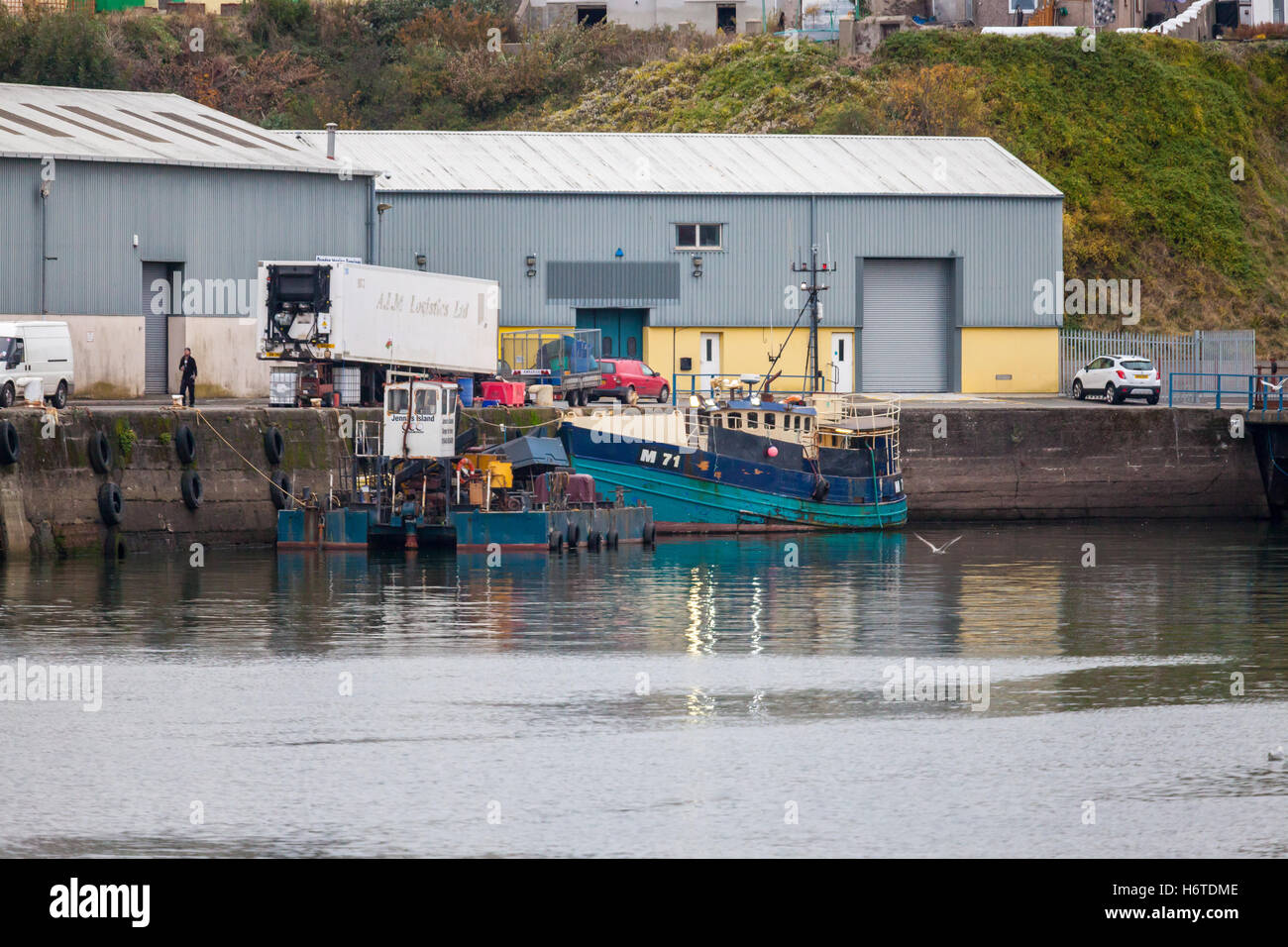 Fishing Boat, Milford Haven Marina, Pembrokeshire, Wales, UK Stock Photo