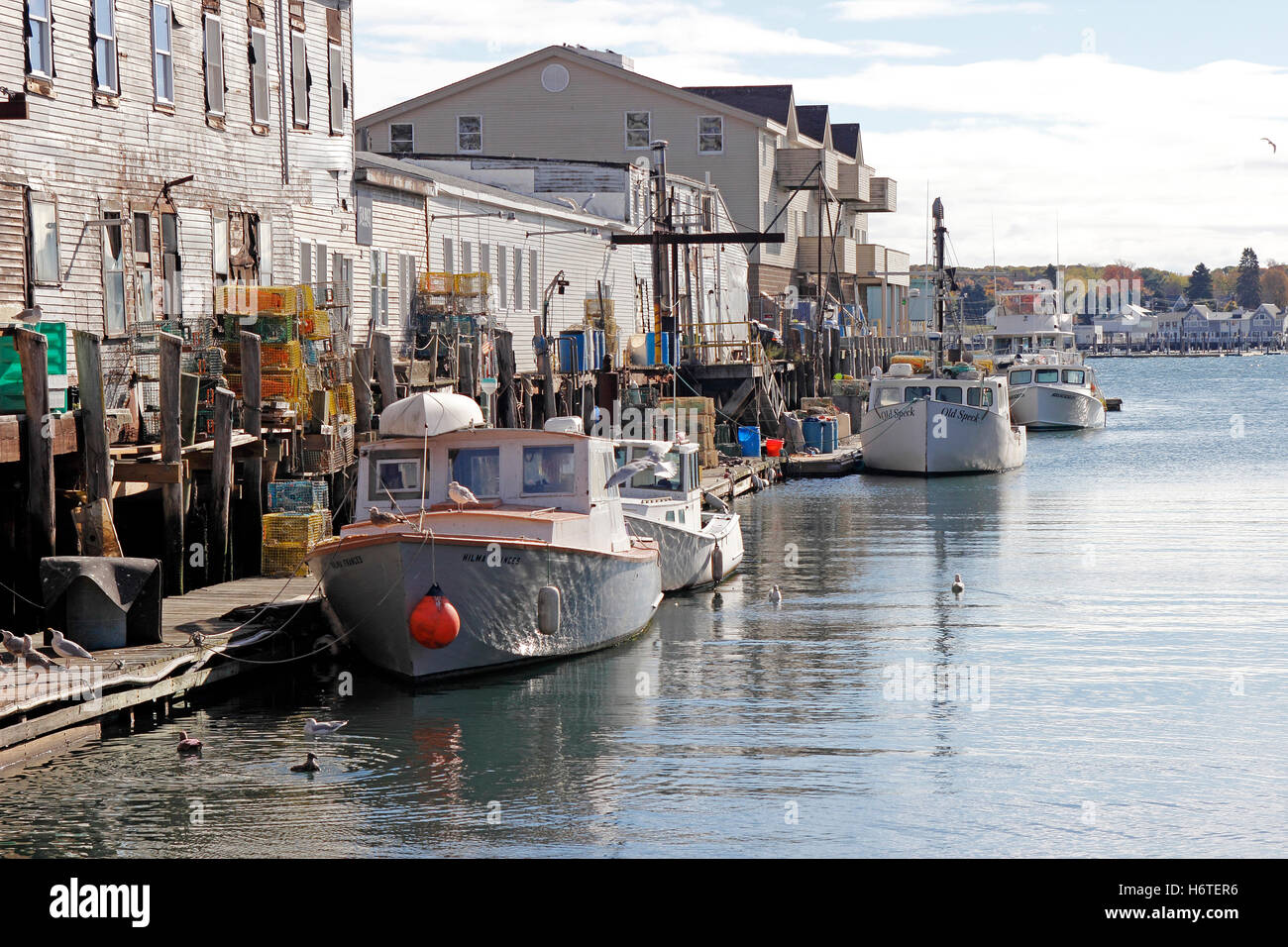 Lobster boats at dock equipment fishing port industry Portland Harbor