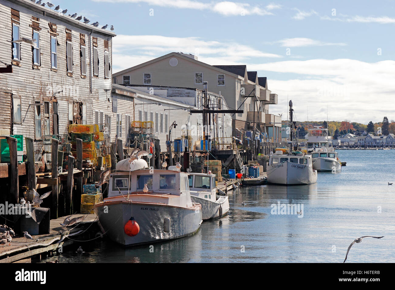 Lobster boats at dock equipment fishing port industry Portland Harbor