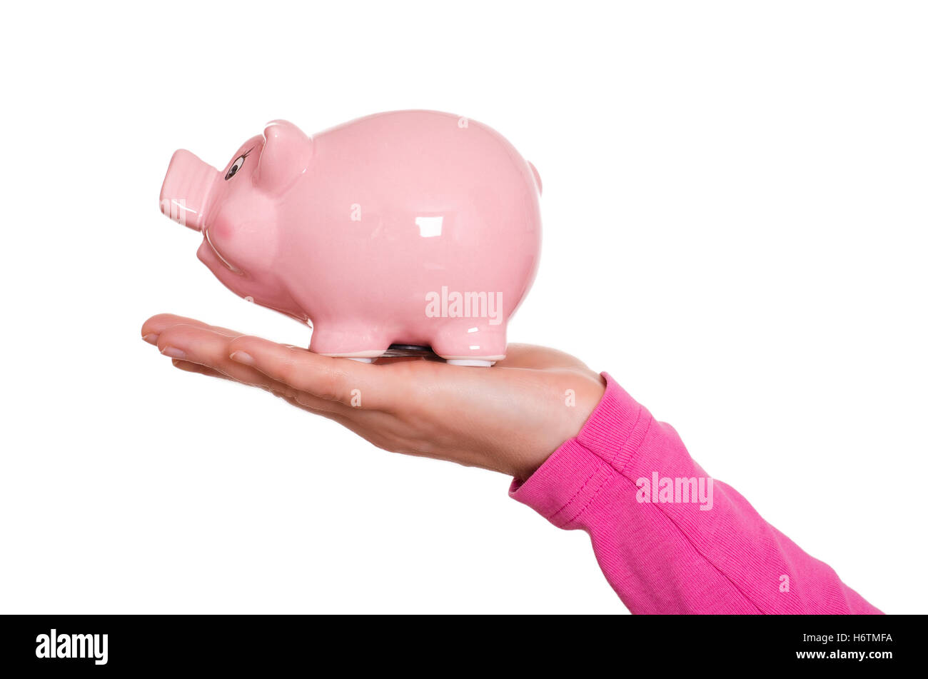 funny pink pig on a hand Stock Photo