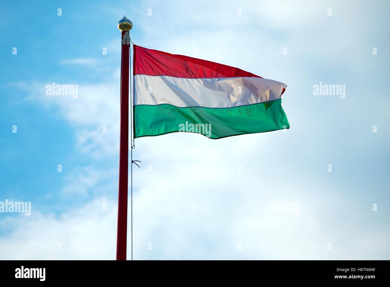 flag national hungary hungarian pictogram symbol pictograph trade symbol red yellow blue beautiful beauteously nice colour flag Stock Photo