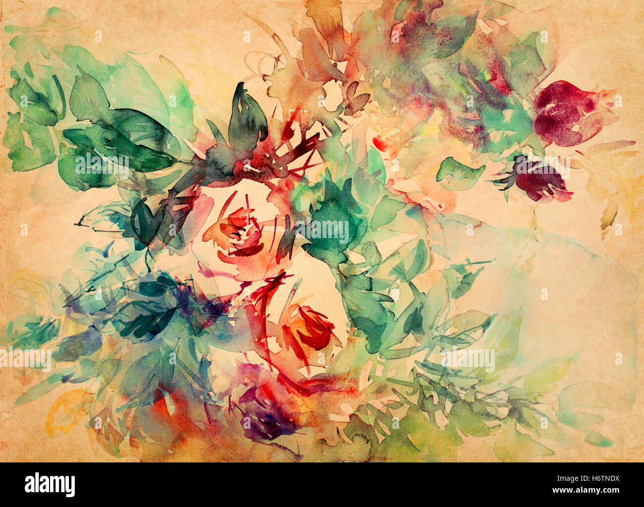 Parchment Colour Roses roses watercolor parchment Stock Photo - Alamy