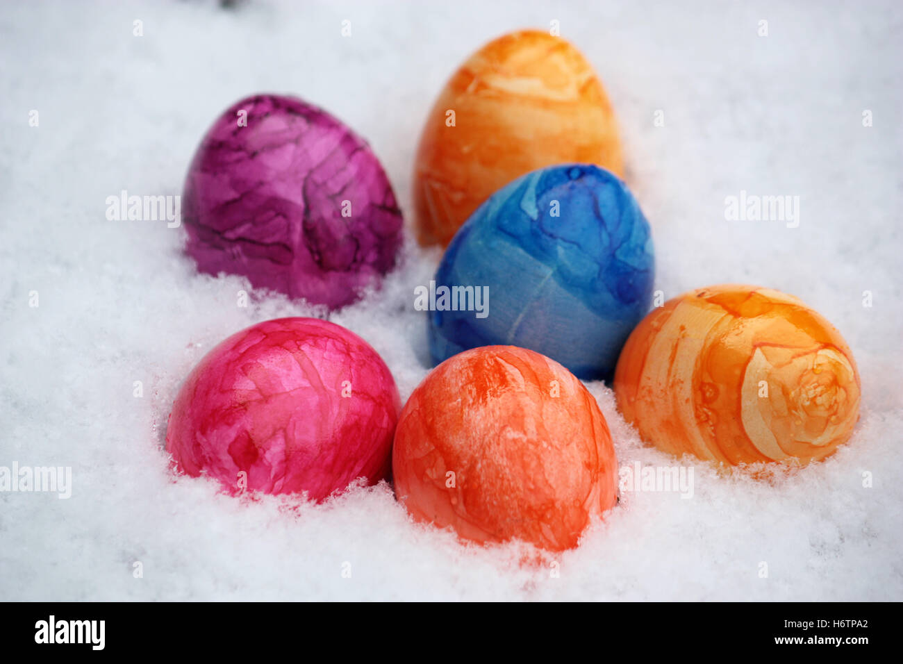 easter eggs in the snow Stock Photo Alamy
