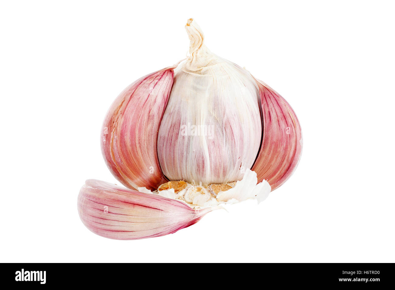 garlic bulb macro shot Stock Photo