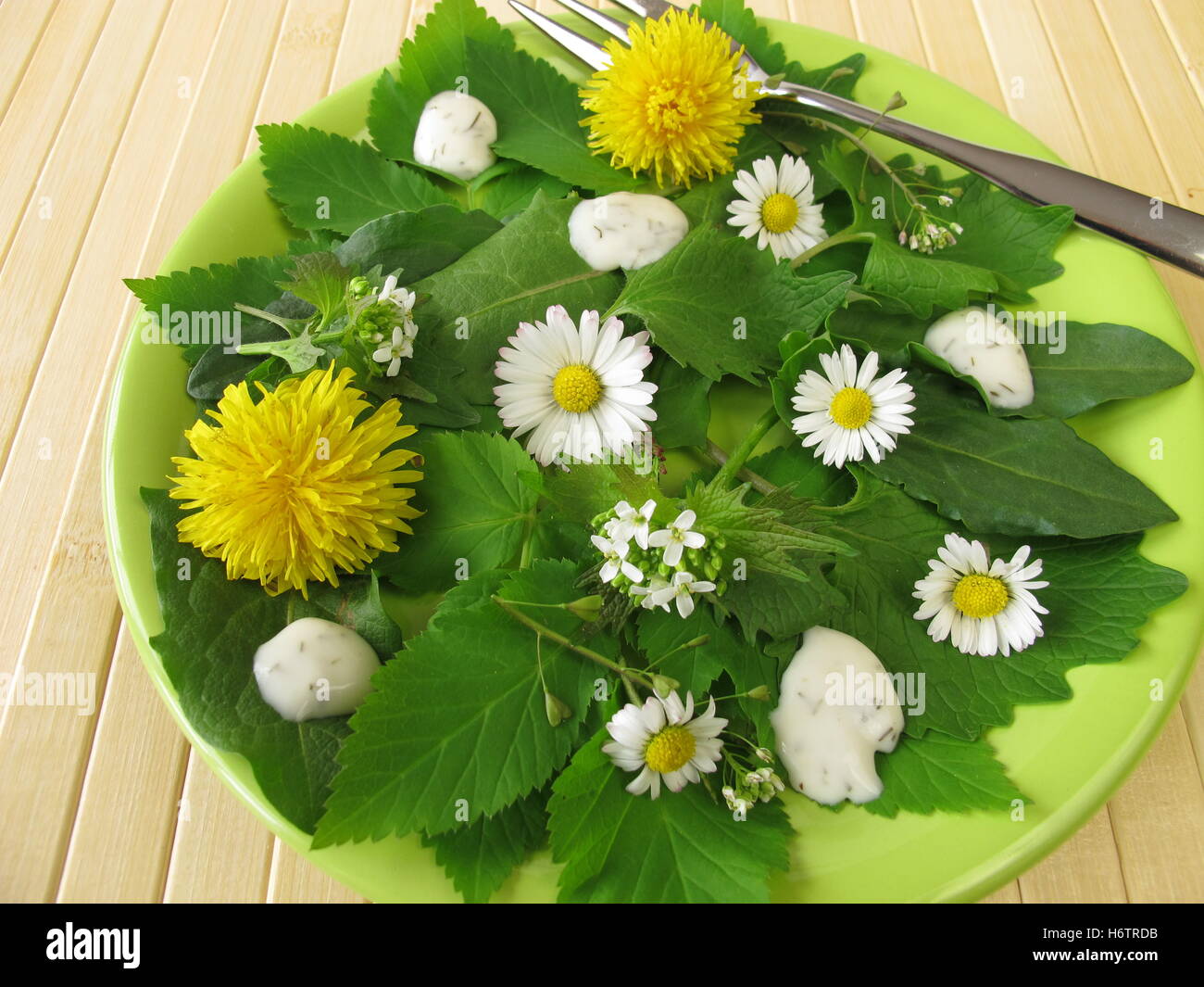 salad with wild herbs Stock Photo