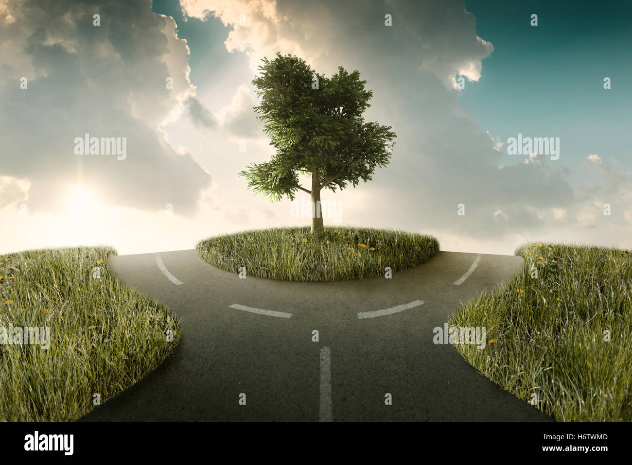 travel tree hill choose crossroad option road street travel tree hill sunset cloud direction choose rotary decision landscape Stock Photo