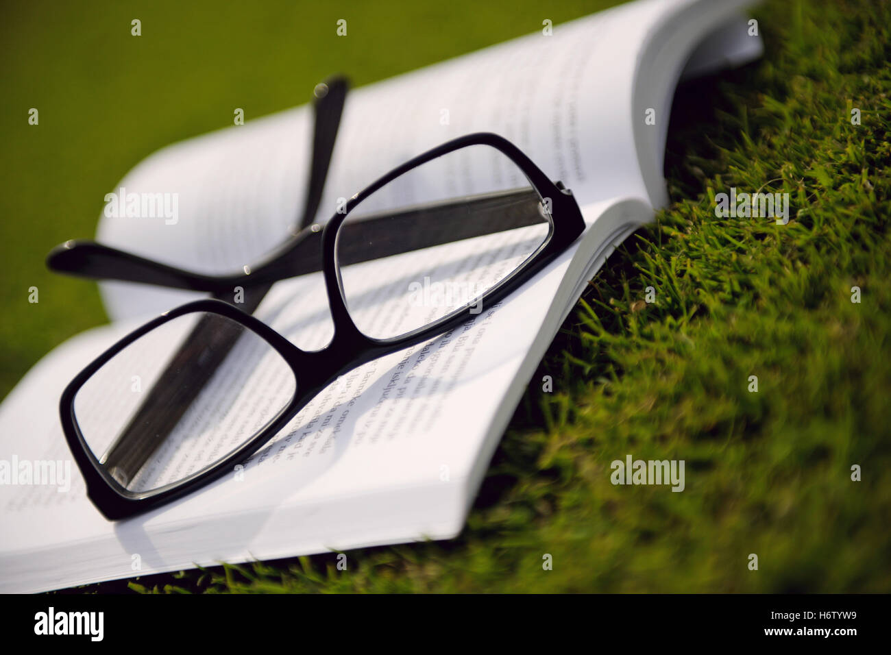 study still life glass chalice tumbler object education story life exist existence living lives live spare time free time Stock Photo
