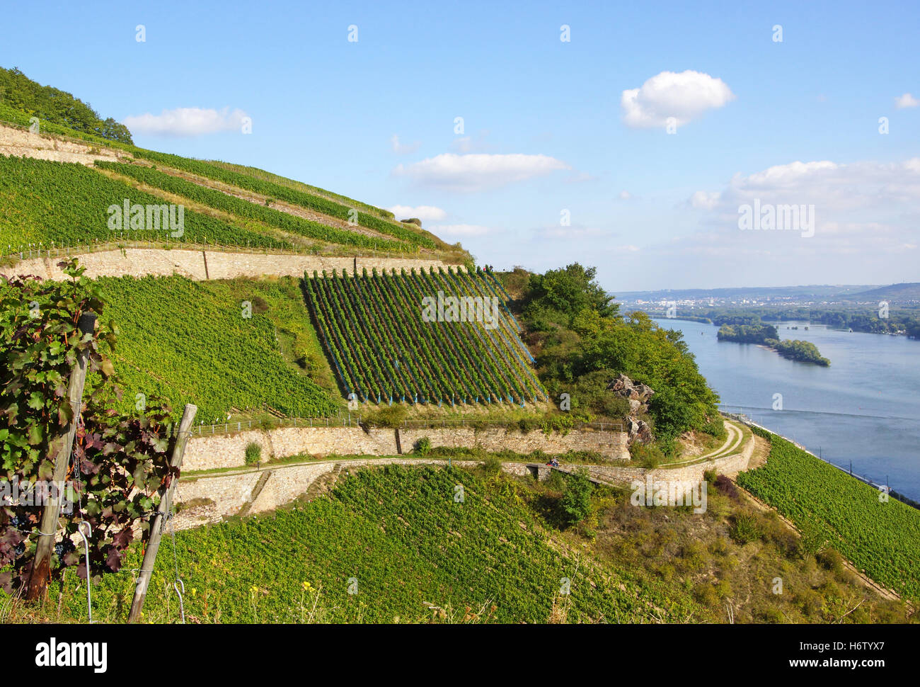 landscapes Stock Photo