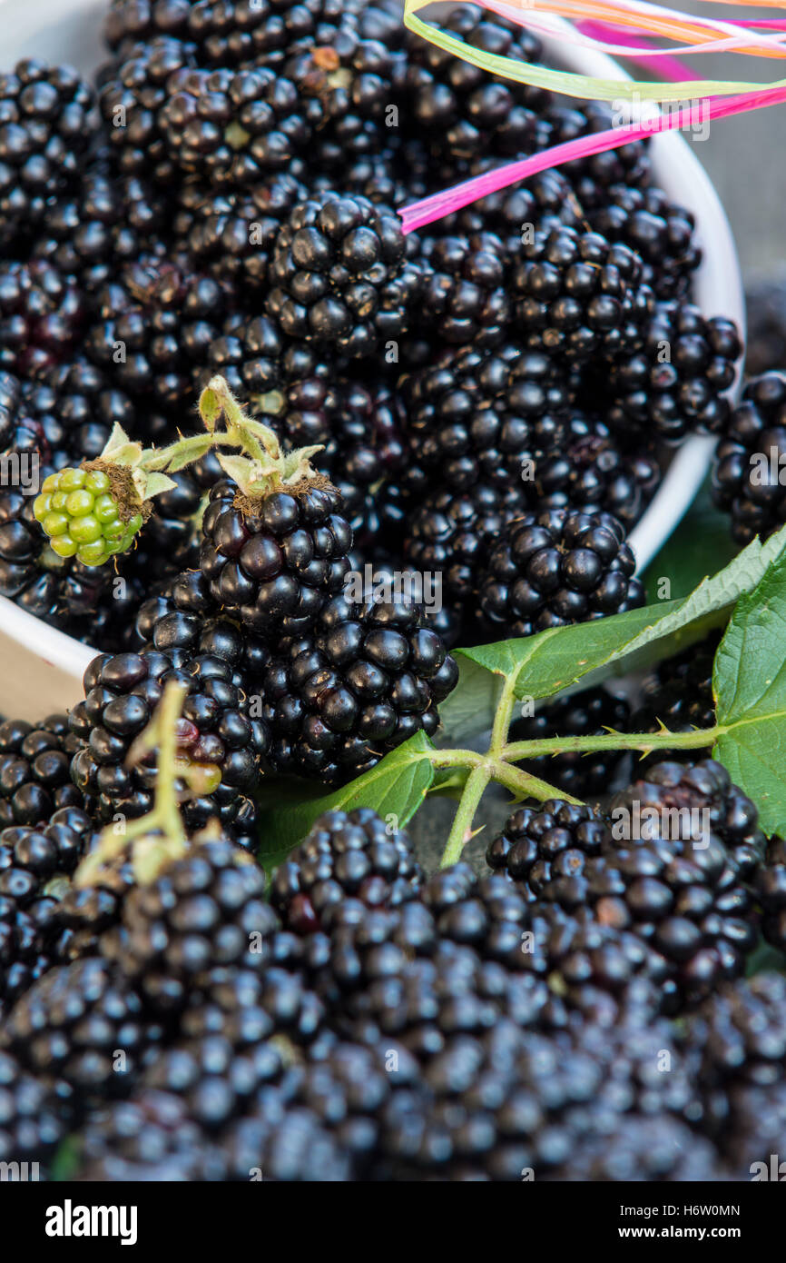 Attractive red berries fruits hires stock photography and images Alamy