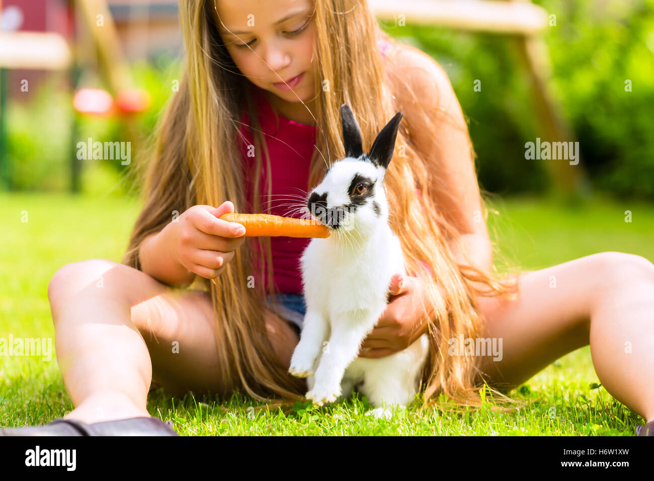 Child pet happiness sunlight hi-res stock photography and images - Alamy