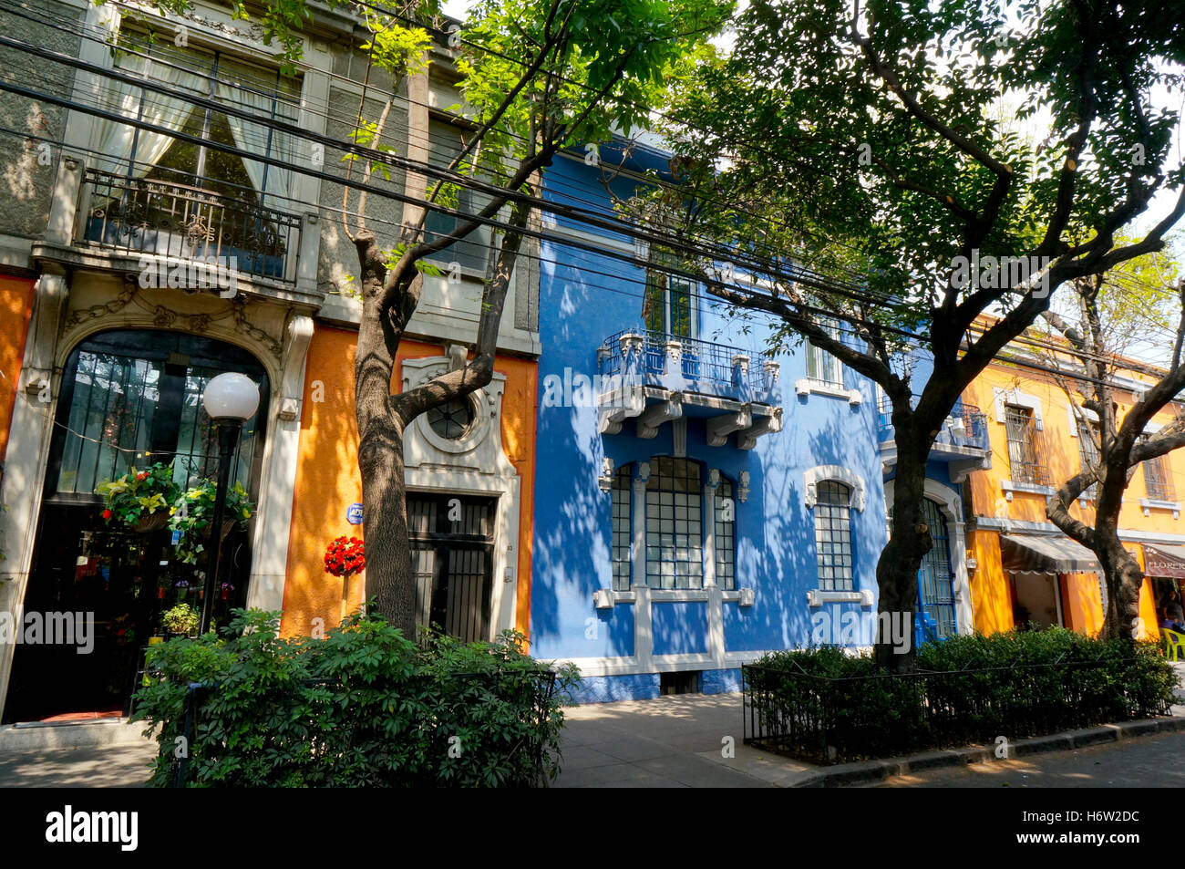 Colima street shops and homes in the Roma neighborhood of Mexico City